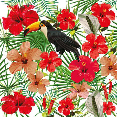 Fotobehang Toucan1 DD116609 A.S. Création Greenery Groen Rood Vlies 260 x 260 cm (2 Teile) Fotobehang