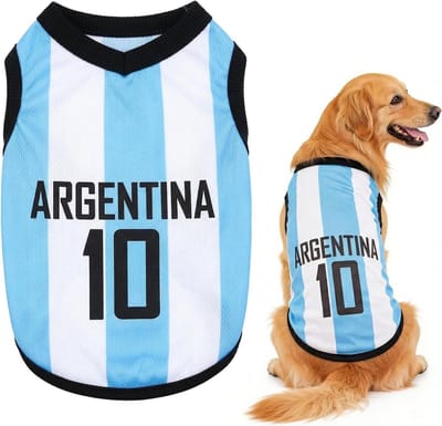 Trui voor katten en middelgrote honden, comfortabel T-shirt voor kleine honden, perfect puppycadeau (L, wit, blauw)