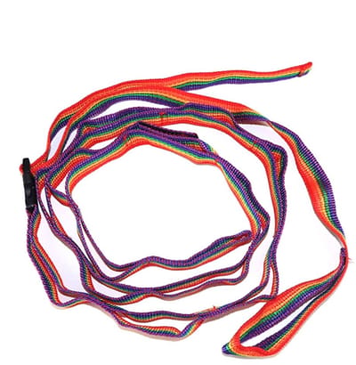 Dailygoods - 6ft Outdoor Camping Lanyard Hanger - Camping Opslag Strap - Robuust en veelzijdig - Nylon - Hang Camping Gear - Geschikt voor diverse toe...