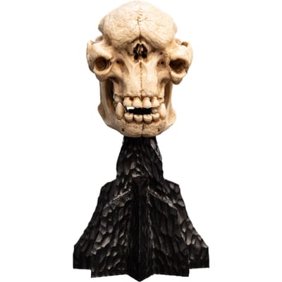 Weta Workshop Lord of the Rings Mini Statue Skull of a Cave Troll 21 cm Beeld