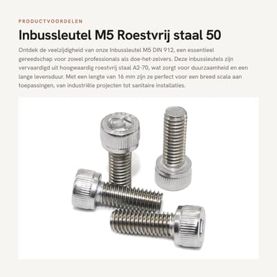 Dailygoods- Inbussleutel M5 - Roestvrij Staal A2-70 - Set van 50 - Voor Industrieel Gebruik - Klemmen/Ankers - Klantgerichte Verpakking - Schroef