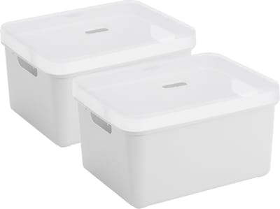 Sunware opbergbox - 2x stuks - 32 liter - wit - kunststof - transparante deksel - 45x35x24 cm - Sigma serie