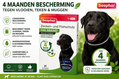 Beaphar Vlooienband Hond 65 cm – Reflecterende Anti Vlo, Teken & Muggen Halsband – Tot 4 Maanden Bescherming – Waterbestendig