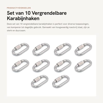 Dailygoods- Karabijnhaak Vergrendeling - 10 Stuks - Roestvrij Staal - Sleutelhanger - Draagbaar - Geschikt voor Kamperen/Wandelen - Haak