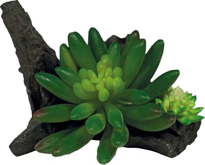 Repto Plant Succulent On Deco 10 x 13 x 8 cm kunstplant voor terrarium