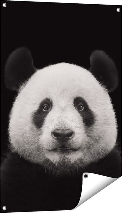 Gards Tuinposter Panda - Pandakop - 60x90 cm - Tuindoek - Tuindecoratie - Wanddecoratie buiten - Tuinschilderij