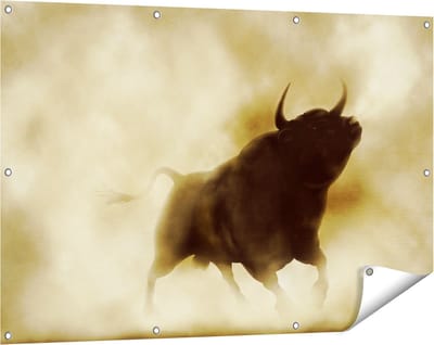 Gards Tuinposter Zwarte Stier in het Stoffige Rook - 120x80 cm - Tuindoek - Tuindecoratie - Wanddecoratie buiten - Tuinschilderij