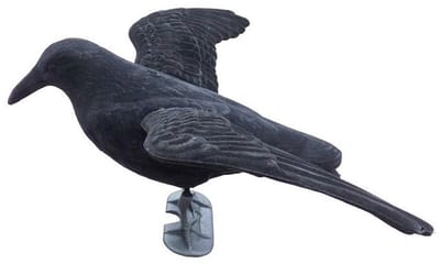 Ketrop Gevleugelde nepkraai vogelverjager