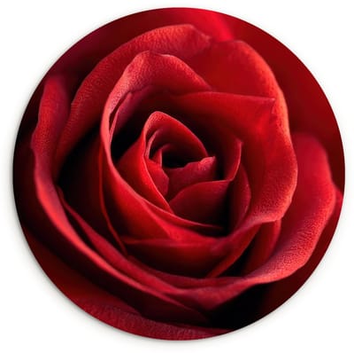 WallCircle® Wandcirkel 120x120 cm - Muurcirkel Rood - Roos - Romantisch - Muurdecoratie woonkamer - Wanddecoratie slaapkamer - Kamer decoratie accessoires - Ronde schilderijen XXL