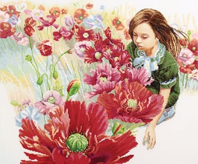 Blooming poppy field | Aida telpakket | RTO
