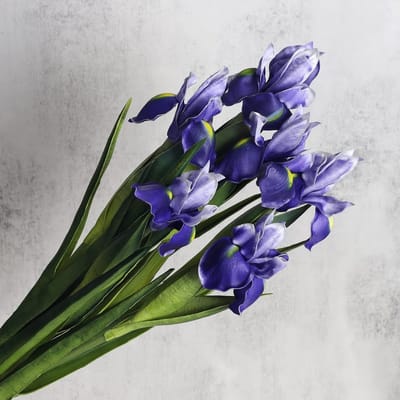 Omgoods - 6 Stuks Kunstmatige Iris Bloemen voor Decoratie en DIY