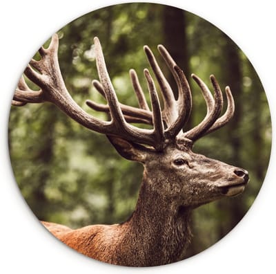 WallCircle - Wandcirkel 90x90 - Hert - Natuur - Gewei - Bos - Dieren - Ronde schilderijen woonkamer - Wandbord rond - Muurdecoratie cirkel - Kamer decoratie binnen - Wanddecoratie muurcirkel - Woonaccessoires