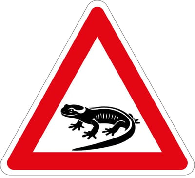 Pas op overstekende salamanders sticker | 30 cm