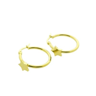 Aramat Jewels | Oorringen | Goudkleurige Stalen Oorringen met ster | | | |2mm | Staal | Volwassenen | Verkleurd niet
