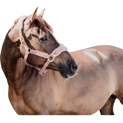 Kentucky Horsewear - Teddy fleece halster oud roze Pony