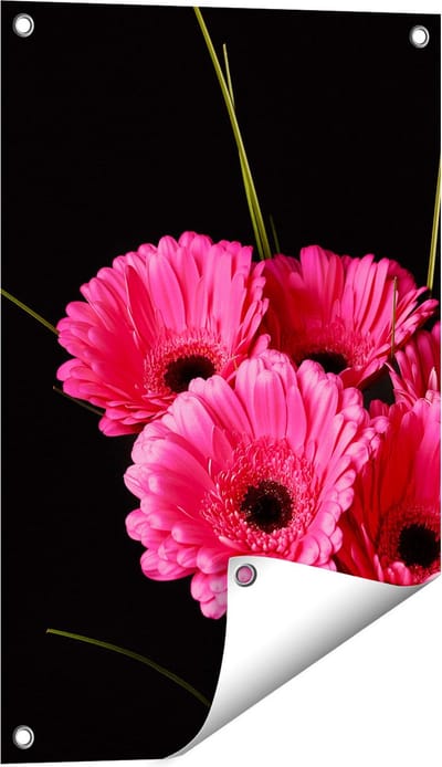 Gards Tuinposter Roze Gerbera Bloemen - 40x60 cm - Tuindoek - Tuindecoratie - Wanddecoratie buiten - Tuinschilderij