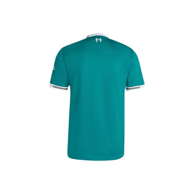 Adidas Authentic Truien/Replica's Heren - Groen - Maat M - Poly Mesh