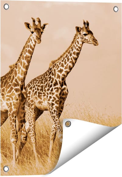 Gards Tuinposter Twee Giraffes in het Veld - 40x50 cm - Tuindoek - Tuindecoratie - Wanddecoratie buiten - Tuinschilderij