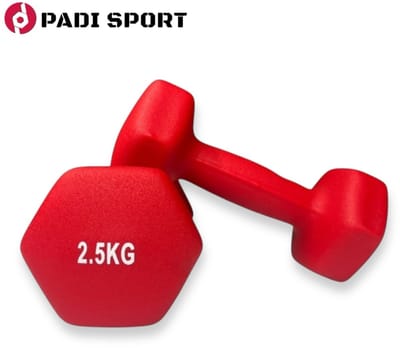 Padisport - Dumbells 2.5 Kg - Halter - Gewichten Set Halters - Gewichten 2.5 Kg - Rood - Gewichten - Dumbells - Halters - Gewichtjes 2.5 Kg
