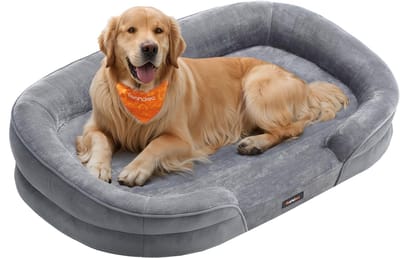 Feandrea Hondenbed, Hondenkussen, voor Grote Honden, 106 x 76 x 18 cm, Orthopedisch, Waterdichte Binnenlaag, Opstaande Randen, Afneembare, Wasbare Hoes, Antislip, Lichtgrijs PGW283G01