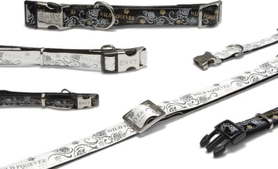 Beeztees Forever - Hondenhalsband - Wit - M - 26-40 cm x 15 mm