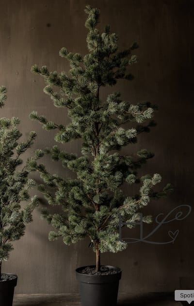 Larix Boom - 150 cm - Decoratieve Kunstmatige Dennenboom - Luxe Groene Naaldstructuur - Levensecht & Stijlvol – Inclusief Vaste Zwarte Pot