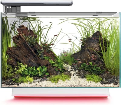 SuperFish Quadro 70 Multi Colour Wit | 67L | 55 x 35 x 45,7 CM