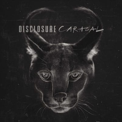 Caracal - Disclosure