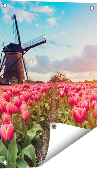 Gards Tuinposter Roze Tulpen Bloemenveld - met Windmolen - 40x60 cm - Tuindoek - Tuindecoratie - Wanddecoratie buiten - Tuinschilderij