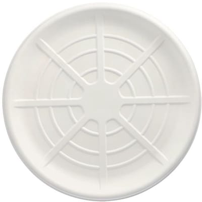 25 Serveerschalen, suikerriet pure rond Ø 47 cm wit voor Zeevruchten