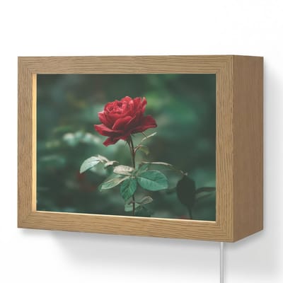 Wandlamp 20x15 cm - Oplaadbaar - Roos - Bladeren - Dieprood - Wandlampen binnen woonkamer - Slaapkamer lamp met kabel - Decoratieve nachtlamp - Vloerlamp snoer