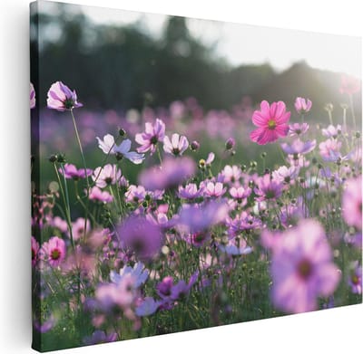Artaza Canvas Schilderij Cosmea Bloemen - 40x30 cm - Klein - Muurdecoratie Bloemenveld - Schilderijen Op Canvas Natuur - Roze