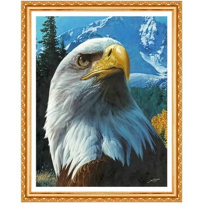 5D diamant broderie animaux bricolage diamant peinture aigle photo diamant couture diamant photo 20X30CM black