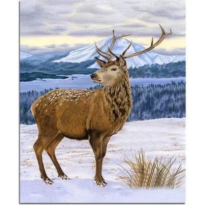 Peinture Diamant 5D DIY Cerf Diamant Rond Complet Mosaïque Broderie Diamant Image d'Animal 20X30CM gray