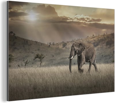 Aluminium schilderij 180x120 cm - Wanddecoratie metaal - Olifant in het savannegebied in het Masai Mara National Park in Kenia - Metalen muurdecoratie woonkamer - Decoratie industrieel - Foto op dibond - Industriële accessoires slaapkamer