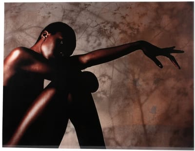 PTMD Exclusive Art Savanna Poster - 130 x 100 x 0,5 cm - Meerkleurig