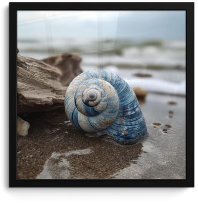 Poster in lijst - Fotolijst 40x40 cm - Posters - Schelp - Strand - Blauw - Zee - Posterlijst zwart - Decoratie - Wanddecoratie woonkamer - Muurdecoratie slaapkamer