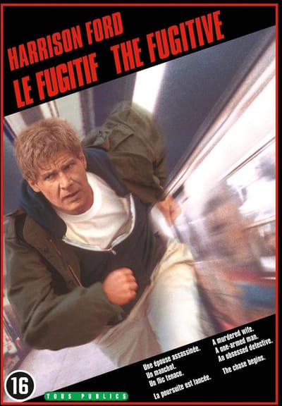 The Fugitive (DVD)