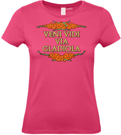 Dames t-shirt Veni Vidi Via Gladiola | Vierdaagse shirt | Wandelvierdaagse Nijmegen | Roze woensdag | Roze | maat XS