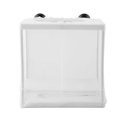 Boîte d'isolement multifonctionnelle en maille Filet d'élevage pour poissons Aquarium Incubateur Éleveur white