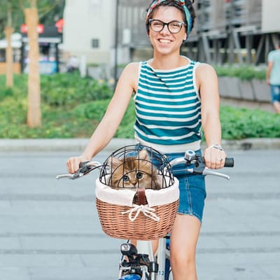 Fietsmand Huisdier - Transportbox Kat - Veilig Vervoer - Afneembare Net - 38 x 30 x 23 cm - Meerkleurig