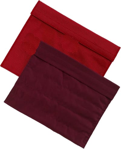 Famanu – Reistas voor insuline en medicijnen, geïsoleerde medicijnkoeler met 2 nylon koelelementen, zwart