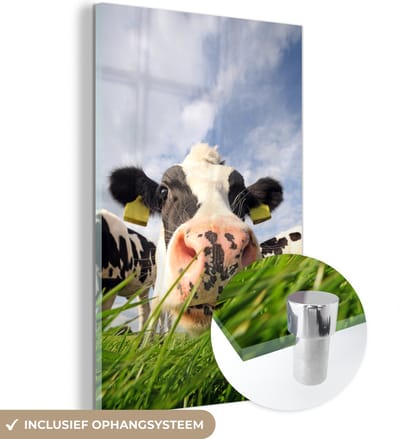 MuchoWow® Glasschilderij 40x60 cm - Schilderij acrylglas - Koe - Boerderij - Gras - Dieren - Foto op glas - Schilderijen