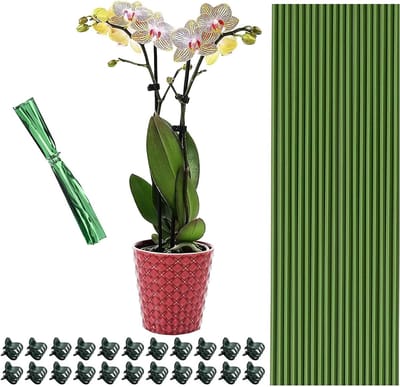 Plantenpalen Set - Steunpalen Orchidee - Kamerplant Ondersteuning - Buigbaar Metaal - 15cm Lengte - Groen