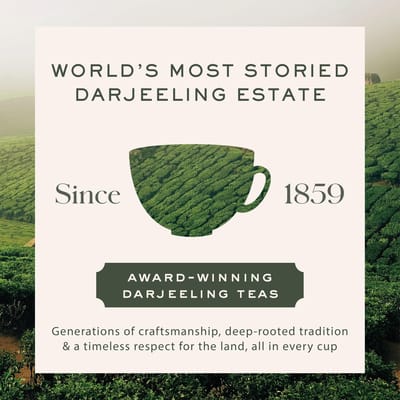 Makaibari Himalayan Spring, Thé noir First Flush Édition Spéciale 100 g Feuilles en Vrac | Thé Noir Darjeeling Certifié Biologique USDA | Simple