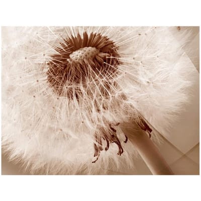 5D diy diamant schilderen kruissteek volledige ronde diamant borduurwerk 20X30CM beige