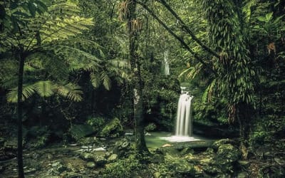 Fotobehang - My Hidden Treasure 400x250cm - Vliesbehang