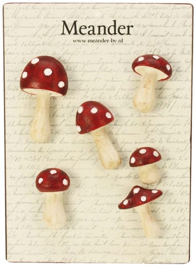 Magneetjes Paddenstoelen – Set van 6 – 5 cm – Decoratief & Praktisch