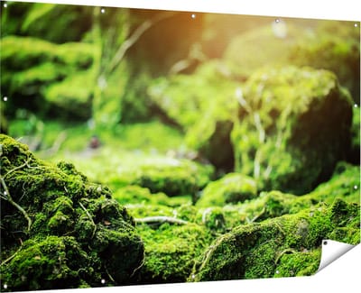 Gards Tuinposter Groen Mos Bedekt over Stenen - 180x120 cm - Tuindoek - Tuindecoratie - Wanddecoratie buiten - Tuinschilderij