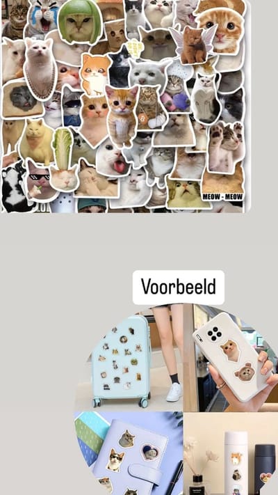 Akyol Grappige Meme Katten Stickers 40 Stuks | Dieren Stickers | Kat Poes Kitten | Humor | Stickers Kinderen Volwassenen - KAT MEME STICKERS - laptop sticker -